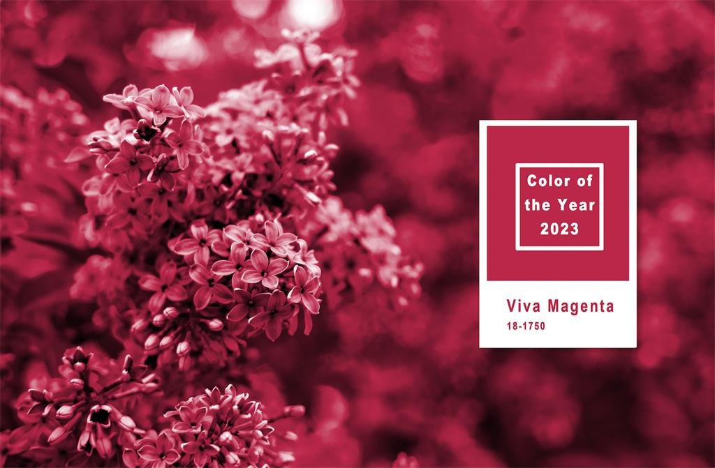 Viva magenta - pantone boja za 2023. godinu